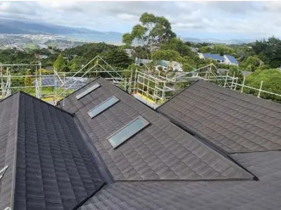 Roof Painting & Restoration — Roof Painting in Stokes Valley, Hutt Valley