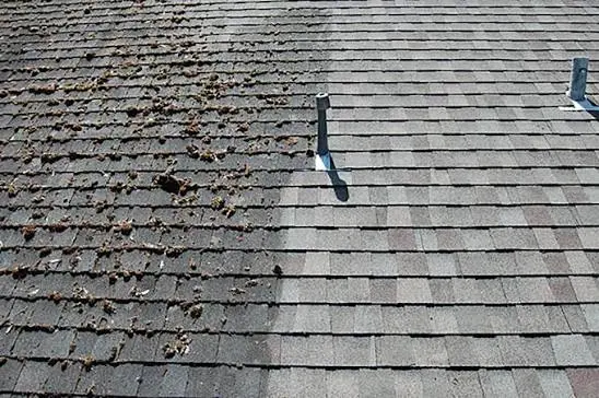 Roof Cleaning by RR Painters